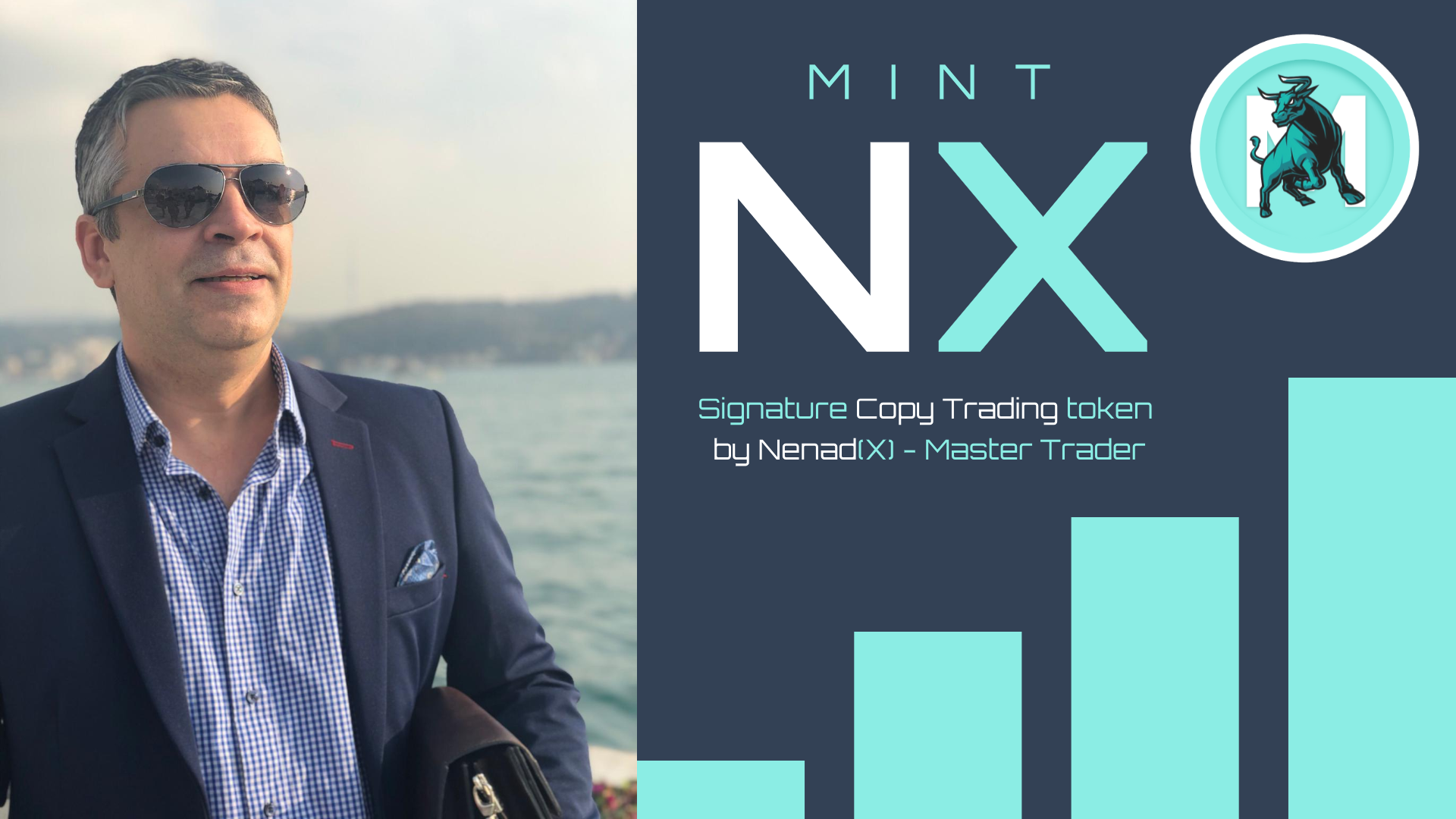 Mint-NX by Nenad(X)